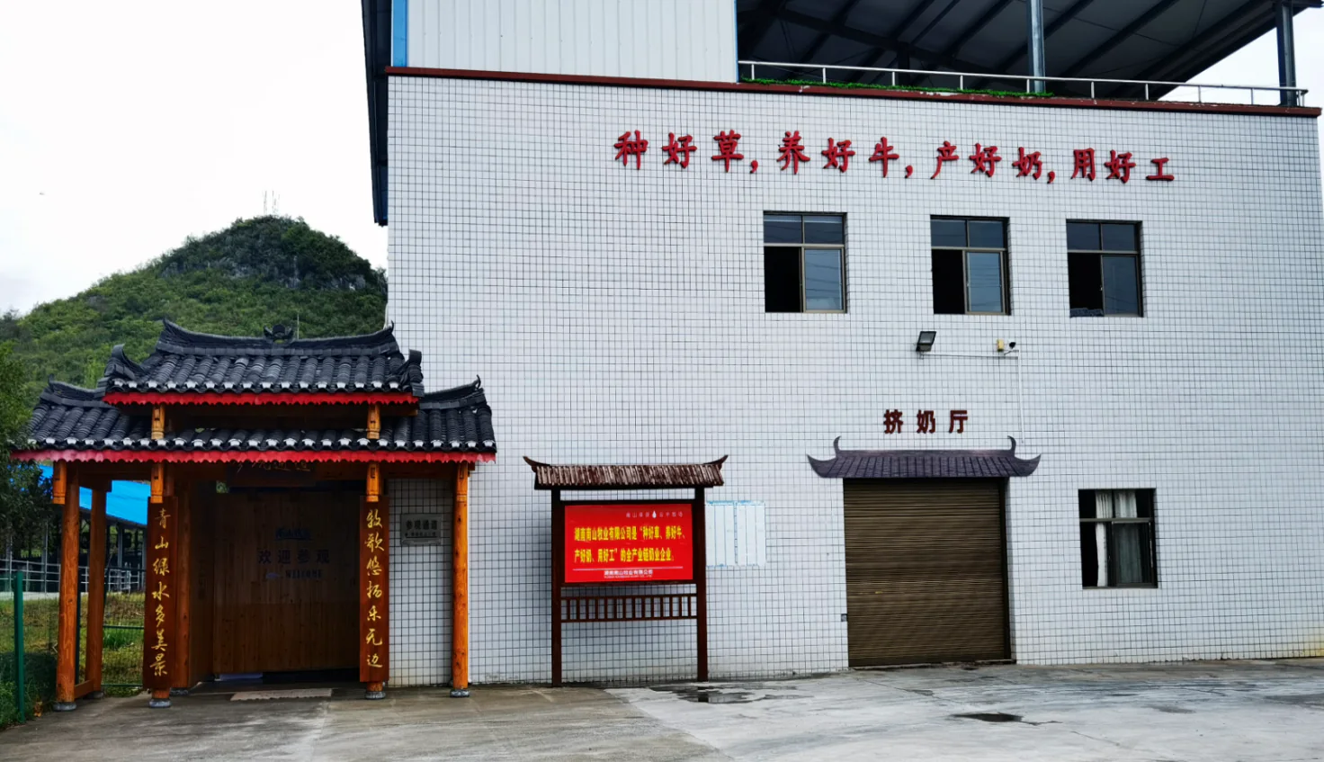 南山牧业挤奶厅参观通道一